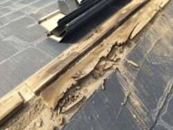 見沼区にて貫板腐食の様子