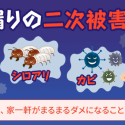雨漏りを放置すると危険！修理費用が高額になる前に知っておきたい基礎知識