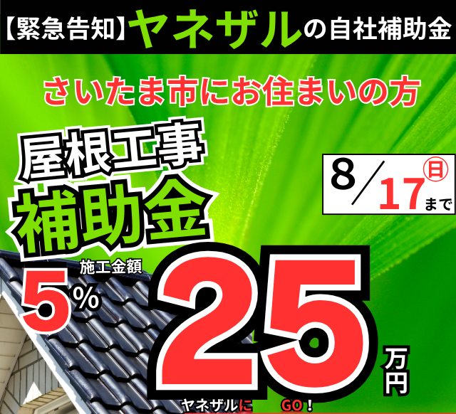 【～８/17まで】自社補助金キャンペーンを開催します！