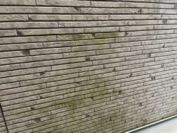 さいたま市見沼区　屋根外壁塗装現調 カビ苔
