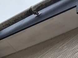 さいたま市岩槻区　屋根外壁塗装 現調雨樋