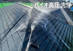 加須市にて 屋根のバイオ高圧洗浄