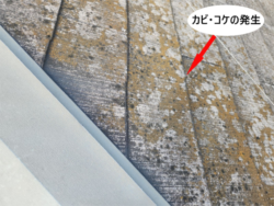さいたま市見沼区にて屋根カビ