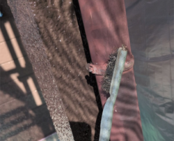 さいたま市岩槻区　屋根外壁塗装 竪樋