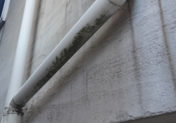 朝霞市 外壁屋根塗装 現調 付帯部 樋