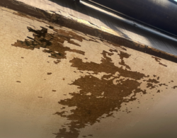 さいたま市見沼区　外壁塗装 現調雨樋