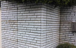 さいたま市見沼区　外壁塗装 現調外塀