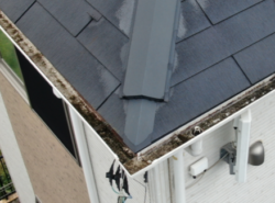 越谷市　屋根外壁塗装　現調 ドローン画像