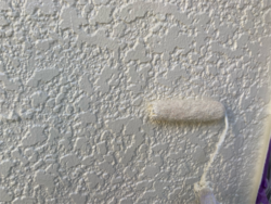 さいたま市見沼区にて外壁上塗り