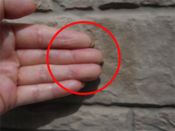 さいたま市北区にてチョーキング