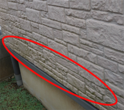 さいたま市北区にて外壁コケ