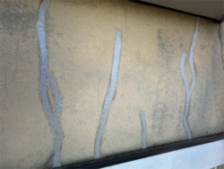 さいたま市西区にてクラック補修