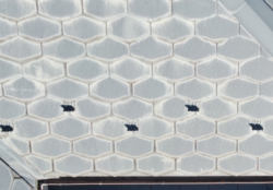 さいたま市緑区 屋根外壁塗装 現調 ドローン画像