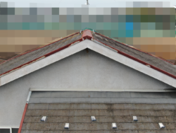 さいたま市緑区　屋根カバー外壁塗装　現調ドローン