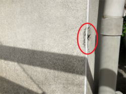 さいたま市西区　外壁修繕