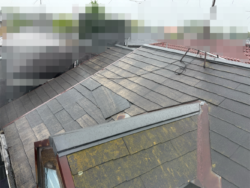 蓮田市　屋根外壁塗装　現調 屋根