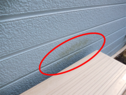 さいたま市岩槻区にて外壁コケ