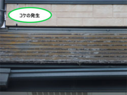さいたま市岩槻区にて屋根コケ