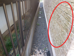 さいたま市見沼区にて外壁コケ